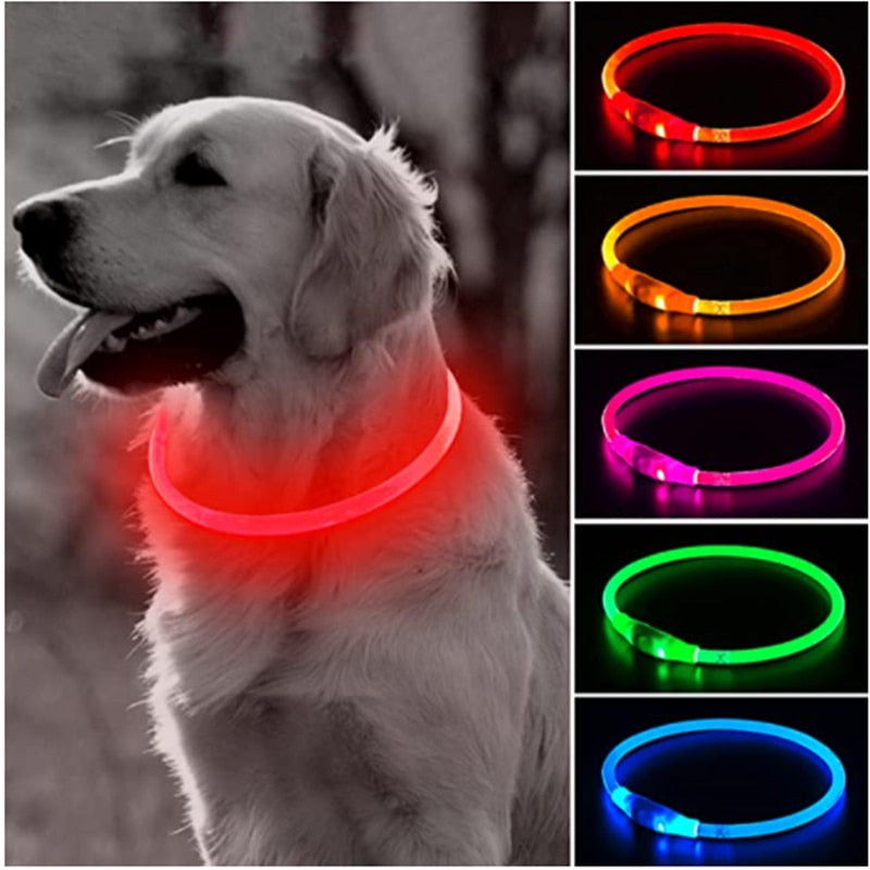 LED Dog Collar